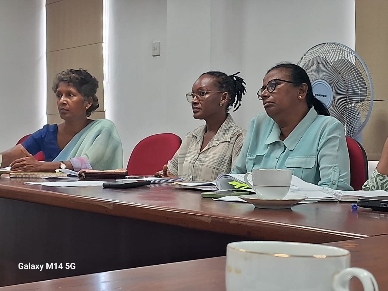 WhatsApp Image 2026 02 12 at 10.06.15