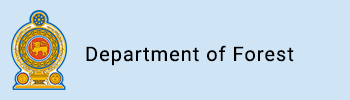 Department of Forest